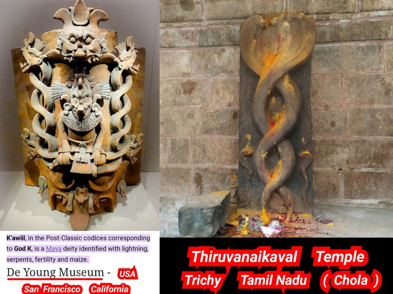 Pampu Vazhipadu Ulakam Muzhuvathum Pallar Mallar Vazhipattanar Snake Worship World Pallar Mallar | பாம்பு வழிபாடு உலகம் முழுவதும் பள்ளர் மள்ளர் வழிபட்டனர் Snake Worship World Pallar Mallar