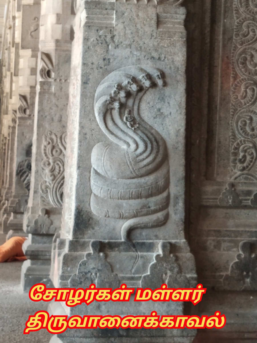 Pampu Vazhipadu Ulakam Muzhuvathum Pallar Mallar Vazhipattanar Snake Worship World Pallar Mallar | பாம்பு வழிபாடு உலகம் முழுவதும் பள்ளர் மள்ளர் வழிபட்டனர் Snake Worship World Pallar Mallar