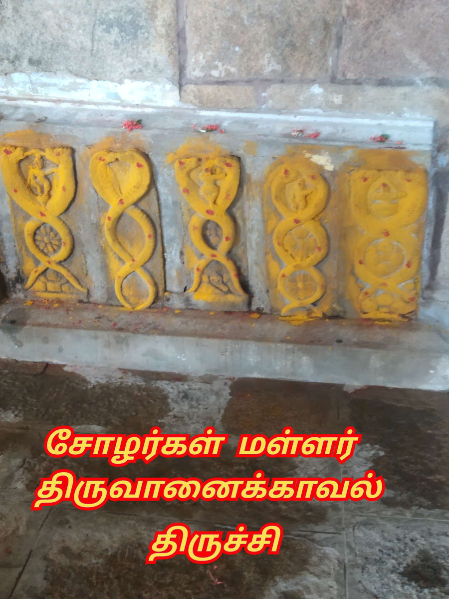 Pampu Vazhipadu Ulakam Muzhuvathum Pallar Mallar Vazhipattanar Snake Worship World Pallar Mallar | பாம்பு வழிபாடு உலகம் முழுவதும் பள்ளர் மள்ளர் வழிபட்டனர் Snake Worship World Pallar Mallar