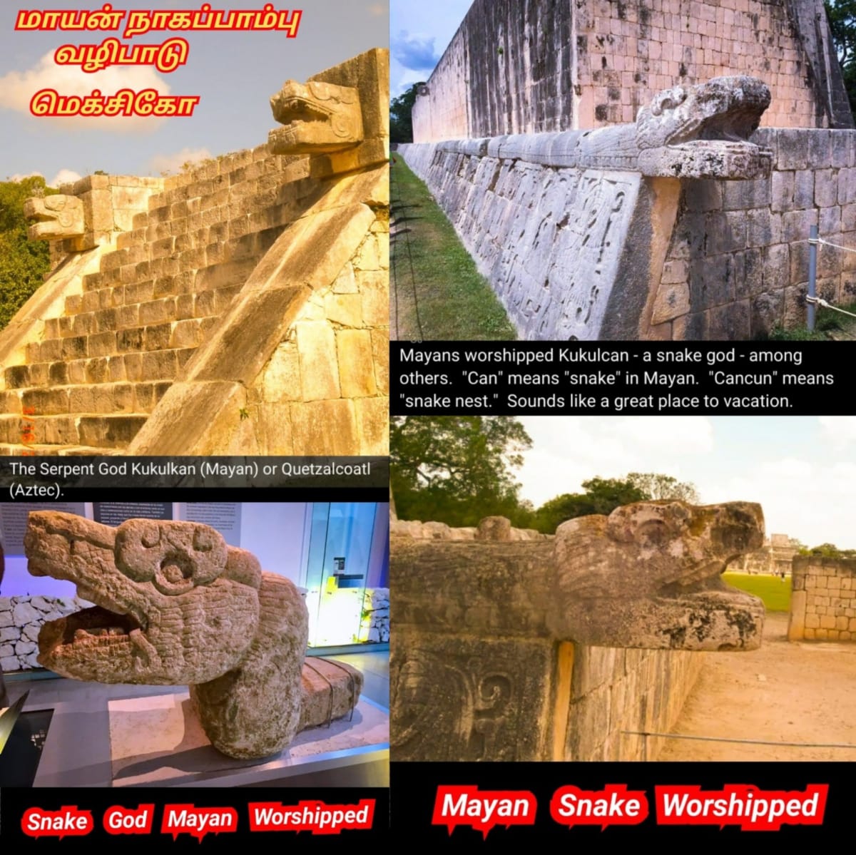 Pampu Vazhipadu Ulakam Muzhuvathum Pallar Mallar Vazhipattanar Snake Worship World Pallar Mallar | பாம்பு வழிபாடு உலகம் முழுவதும் பள்ளர் மள்ளர் வழிபட்டனர் Snake Worship World Pallar Mallar