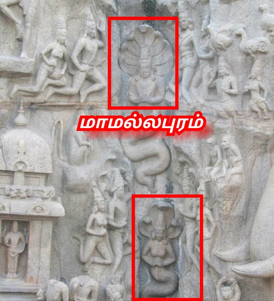 Pampu Vazhipadu Ulakam Muzhuvathum Pallar Mallar Vazhipattanar Snake Worship World Pallar Mallar | பாம்பு வழிபாடு உலகம் முழுவதும் பள்ளர் மள்ளர் வழிபட்டனர் Snake Worship World Pallar Mallar