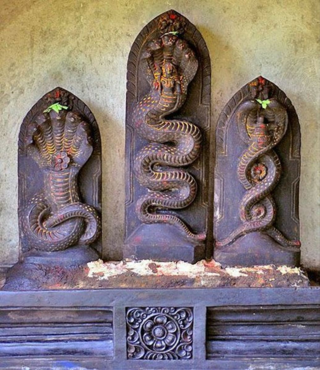 Pampu Vazhipadu Ulakam Muzhuvathum Pallar Mallar Vazhipattanar Snake Worship World Pallar Mallar | பாம்பு வழிபாடு உலகம் முழுவதும் பள்ளர் மள்ளர் வழிபட்டனர் Snake Worship World Pallar Mallar