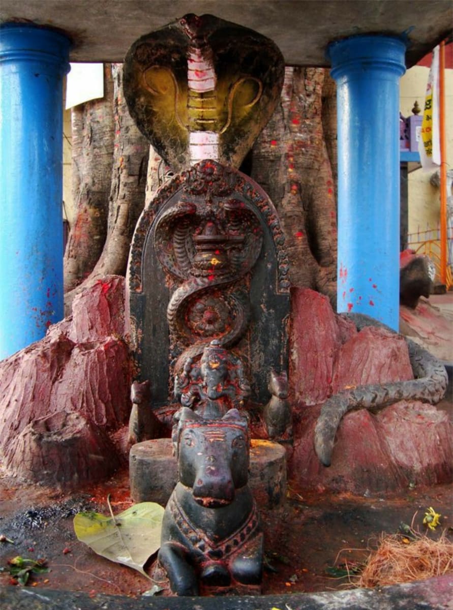 Pampu Vazhipadu Ulakam Muzhuvathum Pallar Mallar Vazhipattanar Snake Worship World Pallar Mallar | பாம்பு வழிபாடு உலகம் முழுவதும் பள்ளர் மள்ளர் வழிபட்டனர் Snake Worship World Pallar Mallar