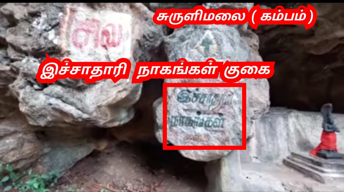 Pampu Vazhipadu Ulakam Muzhuvathum Pallar Mallar Vazhipattanar Snake Worship World Pallar Mallar | பாம்பு வழிபாடு உலகம் முழுவதும் பள்ளர் மள்ளர் வழிபட்டனர் Snake Worship World Pallar Mallar