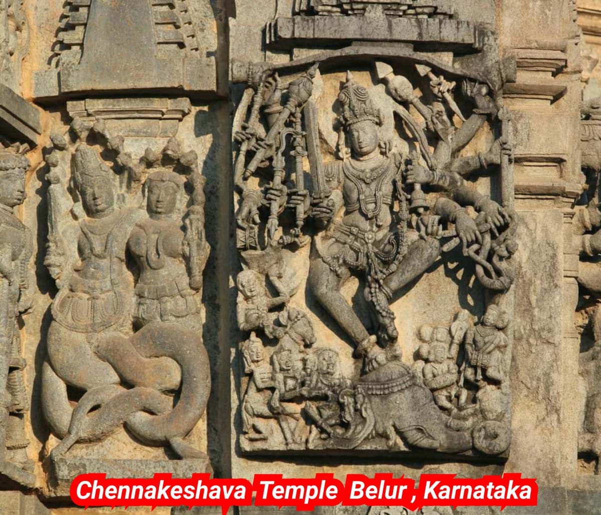 Pampu Vazhipadu Ulakam Muzhuvathum Pallar Mallar Vazhipattanar Snake Worship World Pallar Mallar | பாம்பு வழிபாடு உலகம் முழுவதும் பள்ளர் மள்ளர் வழிபட்டனர் Snake Worship World Pallar Mallar