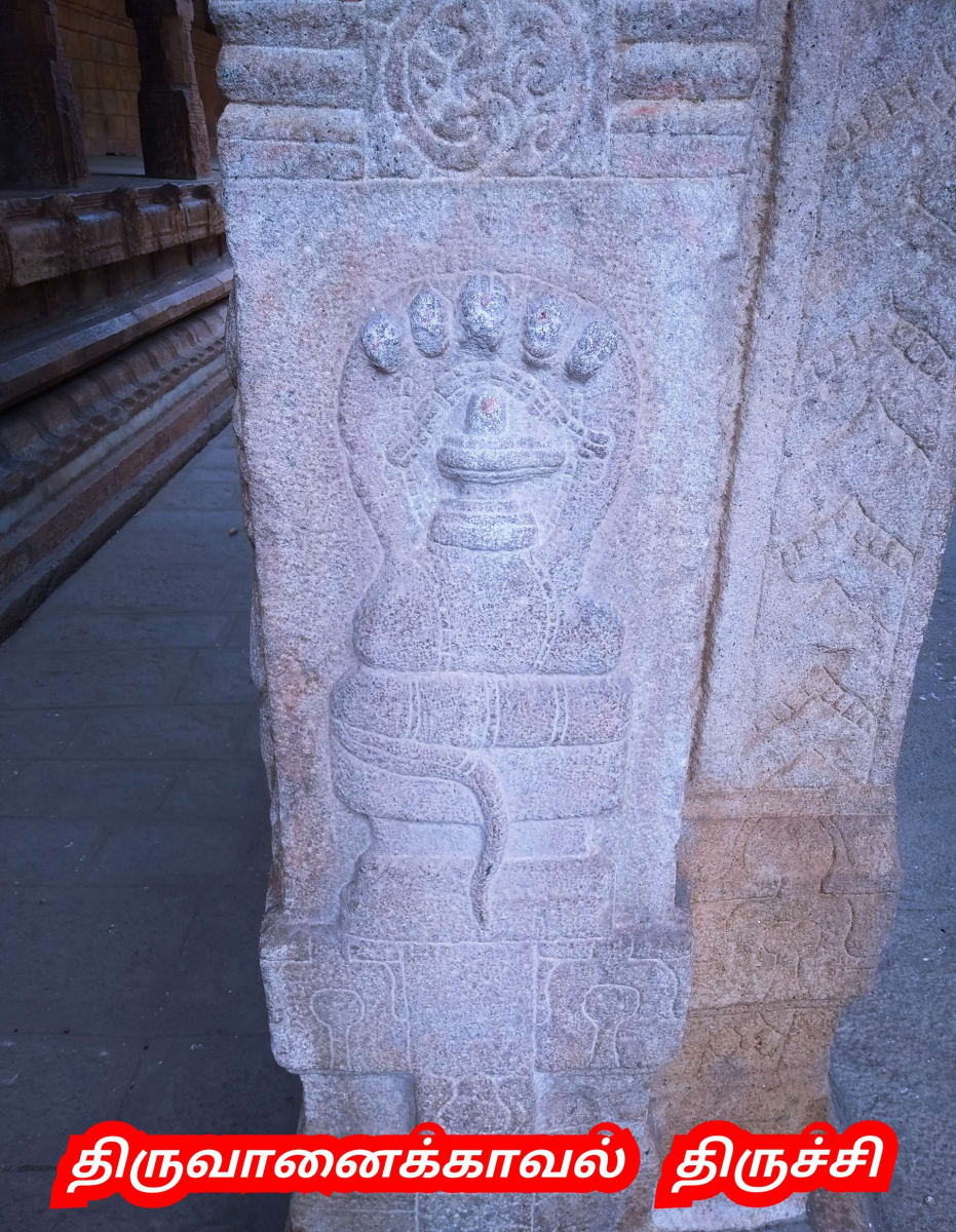 Pampu Vazhipadu Ulakam Muzhuvathum Pallar Mallar Vazhipattanar Snake Worship World Pallar Mallar | பாம்பு வழிபாடு உலகம் முழுவதும் பள்ளர் மள்ளர் வழிபட்டனர் Snake Worship World Pallar Mallar