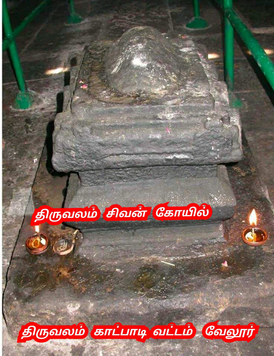 Amai Vazhipadu Ulakam Muzhuvathum Pallar Mallar Vazhipattanar Tortoise Pallar Mallar World | ஆமை வழிபாடு உலகம் முழுவதும் பள்ளர் மள்ளர் வழிபட்டனர் Tortoise Pallar Mallar World