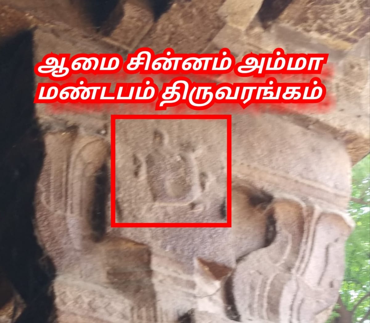Amai Vazhipadu Ulakam Muzhuvathum Pallar Mallar Vazhipattanar Tortoise Pallar Mallar World | ஆமை வழிபாடு உலகம் முழுவதும் பள்ளர் மள்ளர் வழிபட்டனர் Tortoise Pallar Mallar World