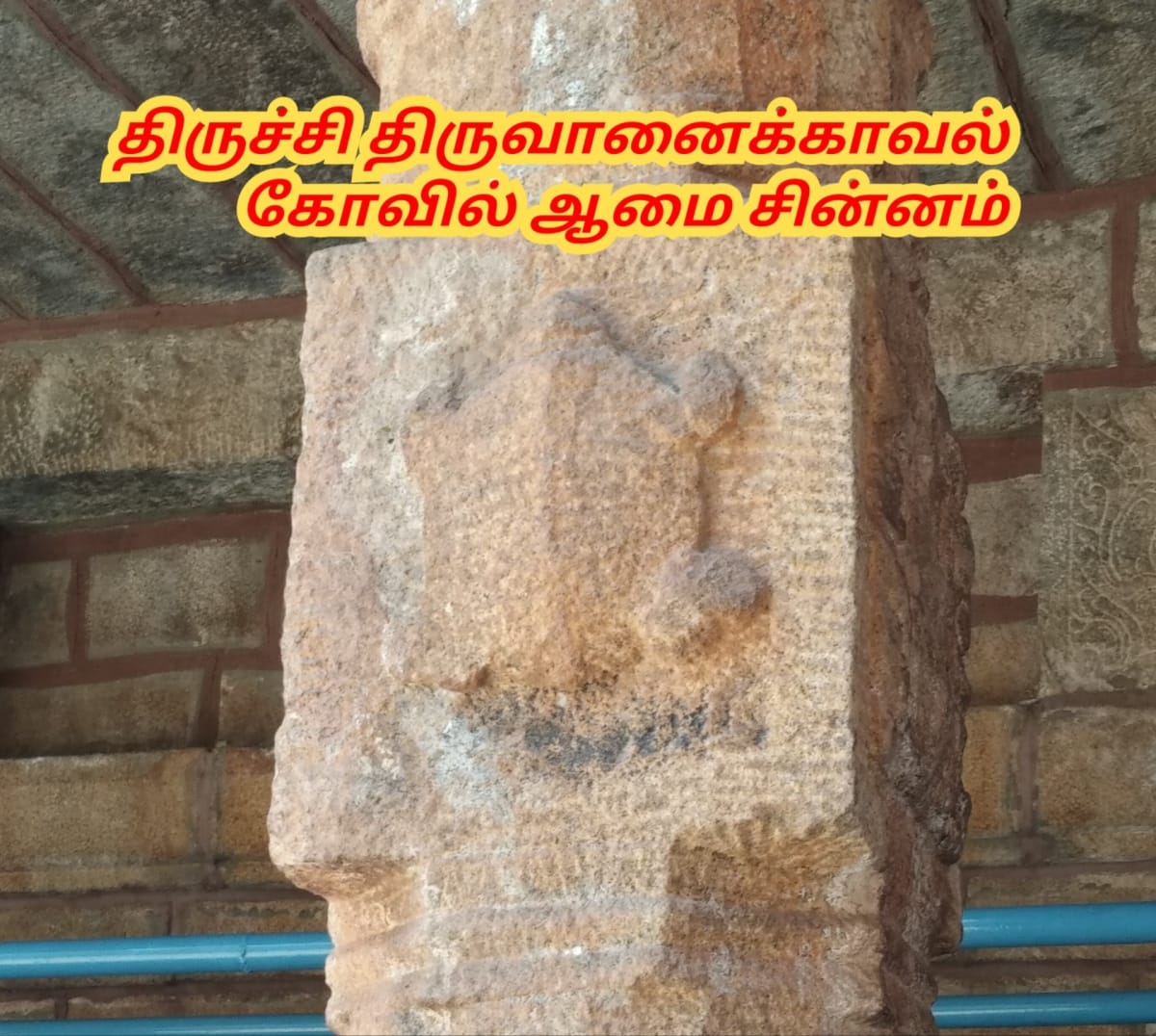 Amai Vazhipadu Ulakam Muzhuvathum Pallar Mallar Vazhipattanar Tortoise Pallar Mallar World | ஆமை வழிபாடு உலகம் முழுவதும் பள்ளர் மள்ளர் வழிபட்டனர் Tortoise Pallar Mallar World