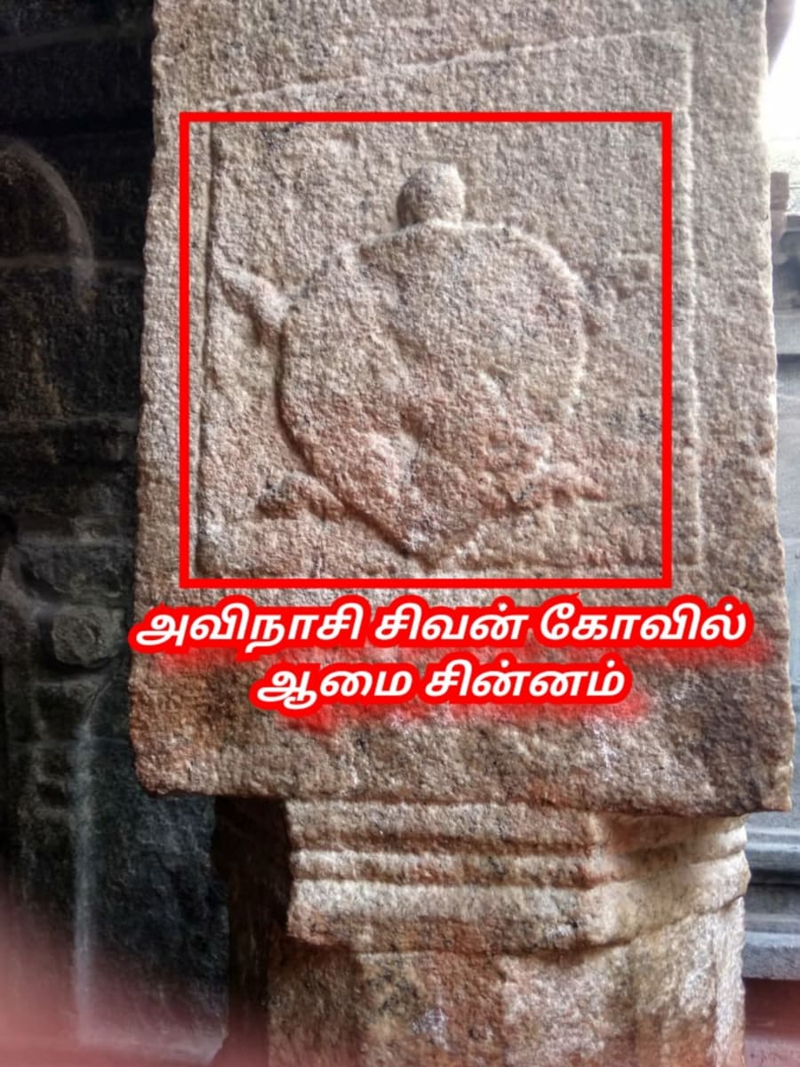 Amai Vazhipadu Ulakam Muzhuvathum Pallar Mallar Vazhipattanar Tortoise Pallar Mallar World | ஆமை வழிபாடு உலகம் முழுவதும் பள்ளர் மள்ளர் வழிபட்டனர் Tortoise Pallar Mallar World