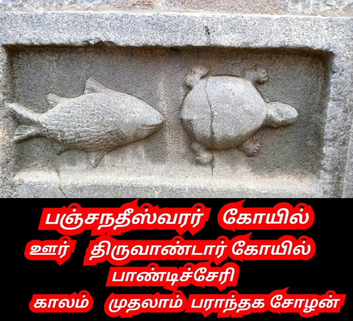 Amai Vazhipadu Ulakam Muzhuvathum Pallar Mallar Vazhipattanar Tortoise Pallar Mallar World | ஆமை வழிபாடு உலகம் முழுவதும் பள்ளர் மள்ளர் வழிபட்டனர் Tortoise Pallar Mallar World