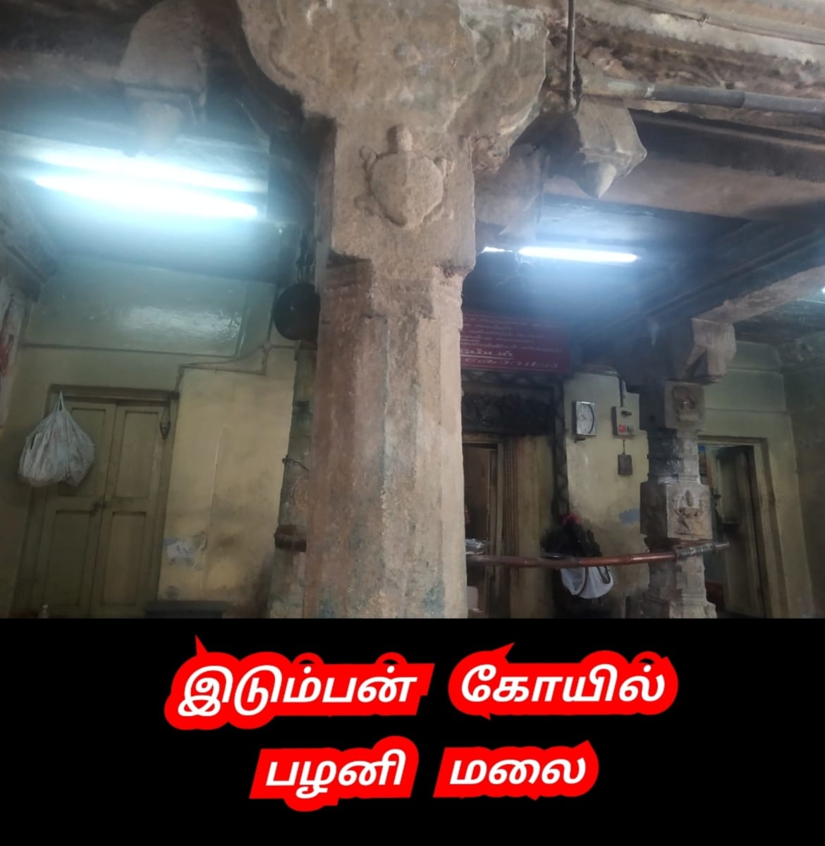 Amai Vazhipadu Ulakam Muzhuvathum Pallar Mallar Vazhipattanar Tortoise Pallar Mallar World | ஆமை வழிபாடு உலகம் முழுவதும் பள்ளர் மள்ளர் வழிபட்டனர் Tortoise Pallar Mallar World