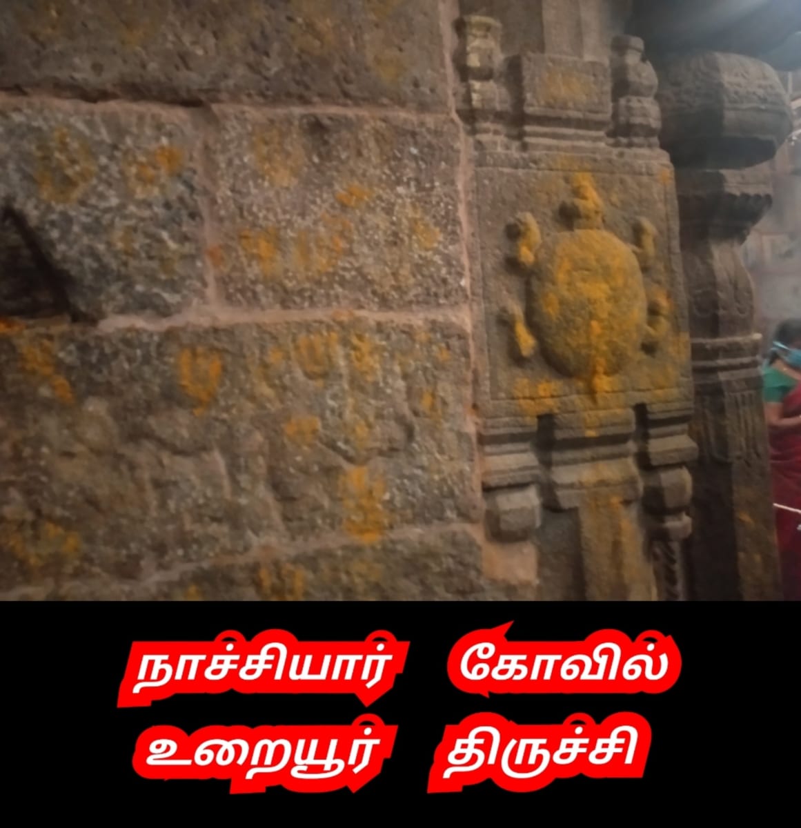 Amai Vazhipadu Ulakam Muzhuvathum Pallar Mallar Vazhipattanar Tortoise Pallar Mallar World | ஆமை வழிபாடு உலகம் முழுவதும் பள்ளர் மள்ளர் வழிபட்டனர் Tortoise Pallar Mallar World