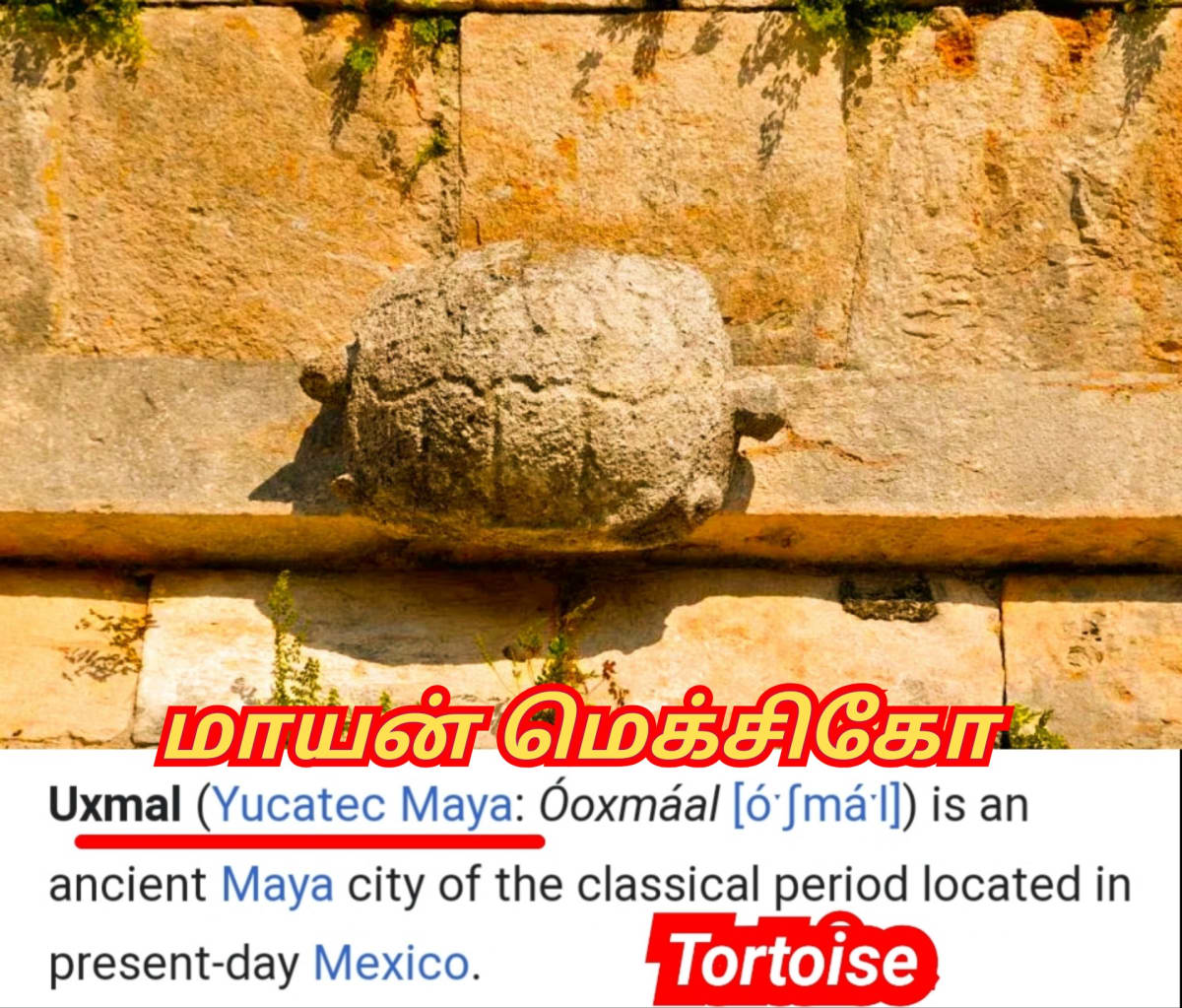 Amai Vazhipadu Ulakam Muzhuvathum Pallar Mallar Vazhipattanar Tortoise Pallar Mallar World | ஆமை வழிபாடு உலகம் முழுவதும் பள்ளர் மள்ளர் வழிபட்டனர் Tortoise Pallar Mallar World
