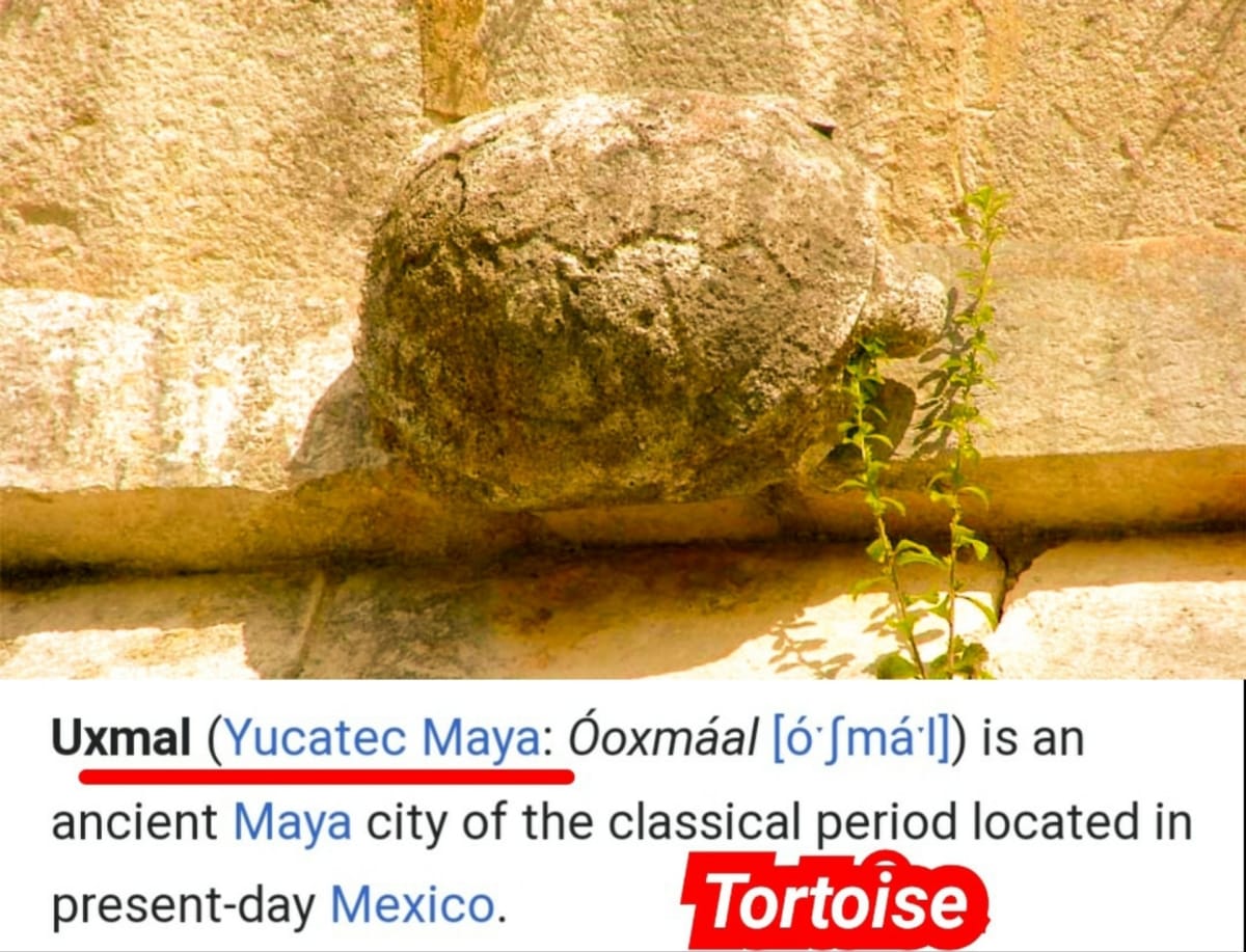 Amai Vazhipadu Ulakam Muzhuvathum Pallar Mallar Vazhipattanar Tortoise Pallar Mallar World | ஆமை வழிபாடு உலகம் முழுவதும் பள்ளர் மள்ளர் வழிபட்டனர் Tortoise Pallar Mallar World