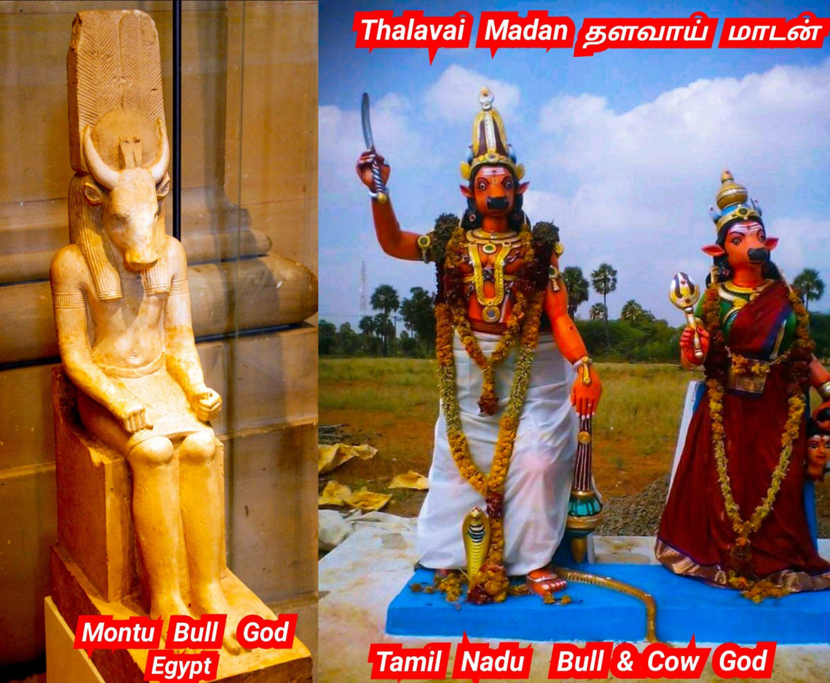 Kalai Madukal Ulakam Muzhuvathum Pallar Mallar Theyvamaka Vazhipattanar Bull God Pallar Mallar World | காளை மாடுகள் உலகம் முழுவதும் பள்ளர் மள்ளர் தெய்வமாக வழிபட்டனர் Bull God Pallar Mallar World