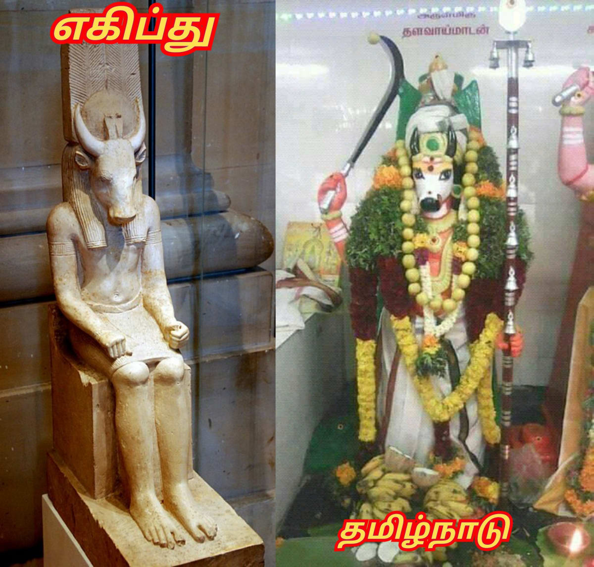 Kalai Madukal Ulakam Muzhuvathum Pallar Mallar Theyvamaka Vazhipattanar Bull God Pallar Mallar World | காளை மாடுகள் உலகம் முழுவதும் பள்ளர் மள்ளர் தெய்வமாக வழிபட்டனர் Bull God Pallar Mallar World