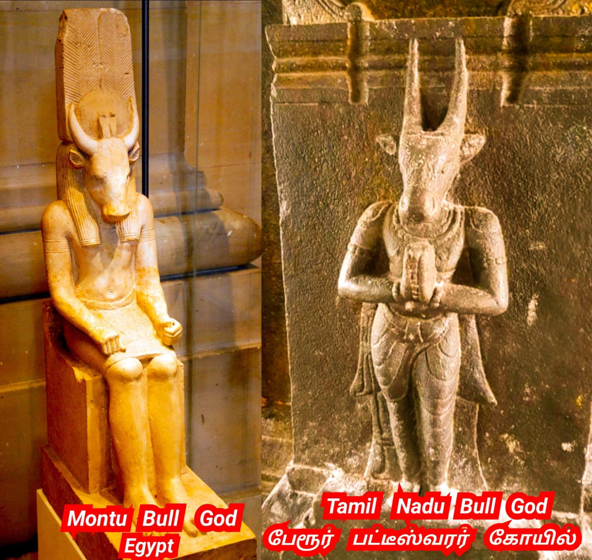 Kalai Madukal Ulakam Muzhuvathum Pallar Mallar Theyvamaka Vazhipattanar Bull God Pallar Mallar World | காளை மாடுகள் உலகம் முழுவதும் பள்ளர் மள்ளர் தெய்வமாக வழிபட்டனர் Bull God Pallar Mallar World