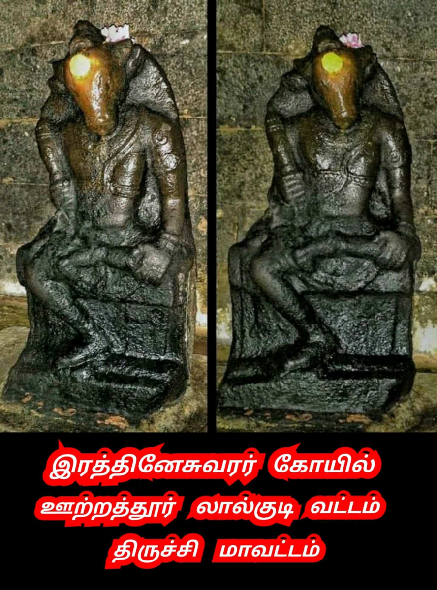 Kalai Madukal Ulakam Muzhuvathum Pallar Mallar Theyvamaka Vazhipattanar Bull God Pallar Mallar World | காளை மாடுகள் உலகம் முழுவதும் பள்ளர் மள்ளர் தெய்வமாக வழிபட்டனர் Bull God Pallar Mallar World
