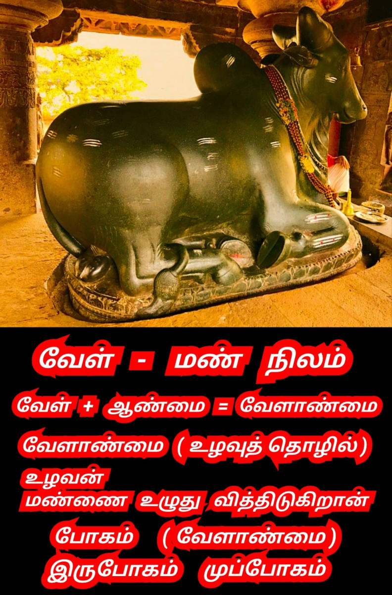 Kalai Madukal Ulakam Muzhuvathum Pallar Mallar Theyvamaka Vazhipattanar Bull God Pallar Mallar World | காளை மாடுகள் உலகம் முழுவதும் பள்ளர் மள்ளர் தெய்வமாக வழிபட்டனர் Bull God Pallar Mallar World