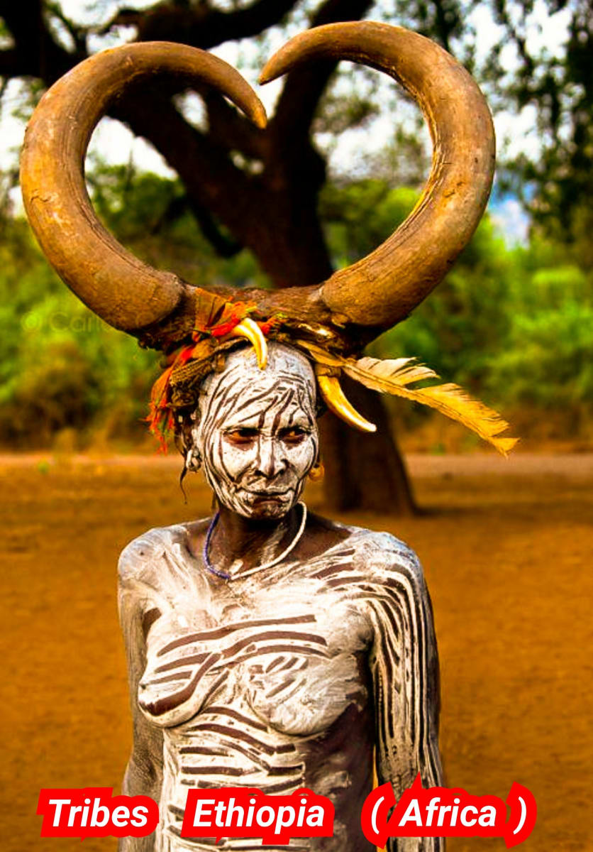 Kalai Madukal Ulakam Muzhuvathum Pallar Mallar Theyvamaka Vazhipattanar Bull God Pallar Mallar World | காளை மாடுகள் உலகம் முழுவதும் பள்ளர் மள்ளர் தெய்வமாக வழிபட்டனர் Bull God Pallar Mallar World