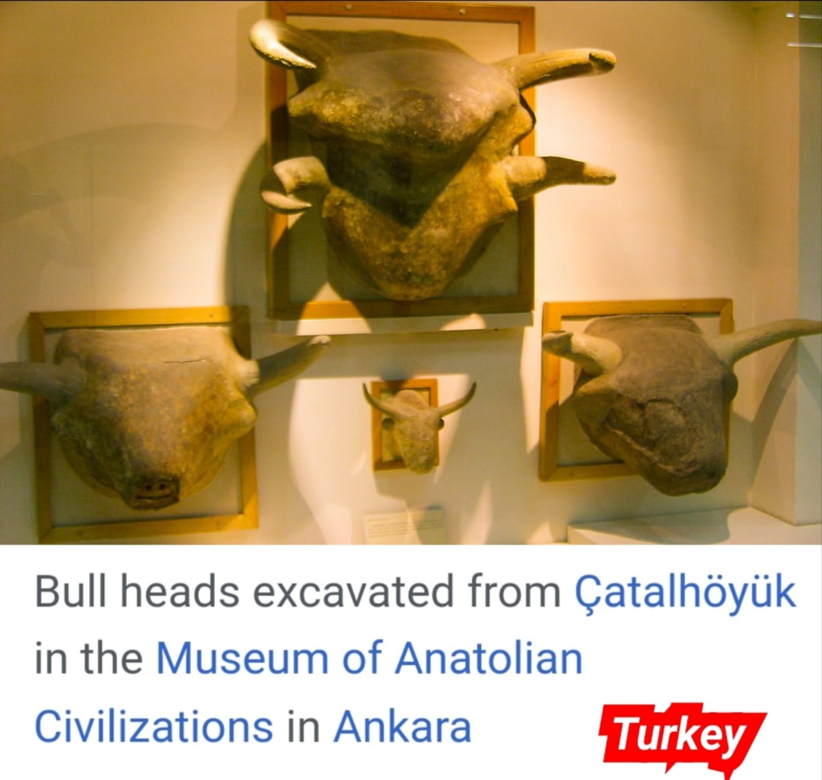 Kalai Madukal Ulakam Muzhuvathum Pallar Mallar Theyvamaka Vazhipattanar Bull God Pallar Mallar World | காளை மாடுகள் உலகம் முழுவதும் பள்ளர் மள்ளர் தெய்வமாக வழிபட்டனர் Bull God Pallar Mallar World