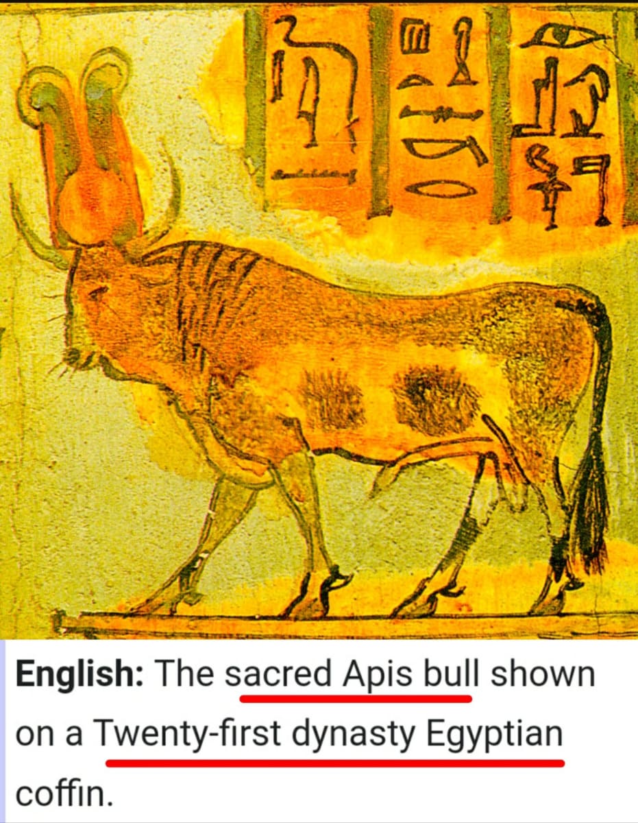 Kalai Madukal Ulakam Muzhuvathum Pallar Mallar Theyvamaka Vazhipattanar Bull God Pallar Mallar World | காளை மாடுகள் உலகம் முழுவதும் பள்ளர் மள்ளர் தெய்வமாக வழிபட்டனர் Bull God Pallar Mallar World