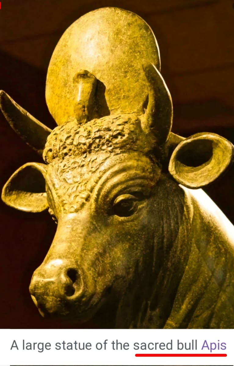 Kalai Madukal Ulakam Muzhuvathum Pallar Mallar Theyvamaka Vazhipattanar Bull God Pallar Mallar World | காளை மாடுகள் உலகம் முழுவதும் பள்ளர் மள்ளர் தெய்வமாக வழிபட்டனர் Bull God Pallar Mallar World