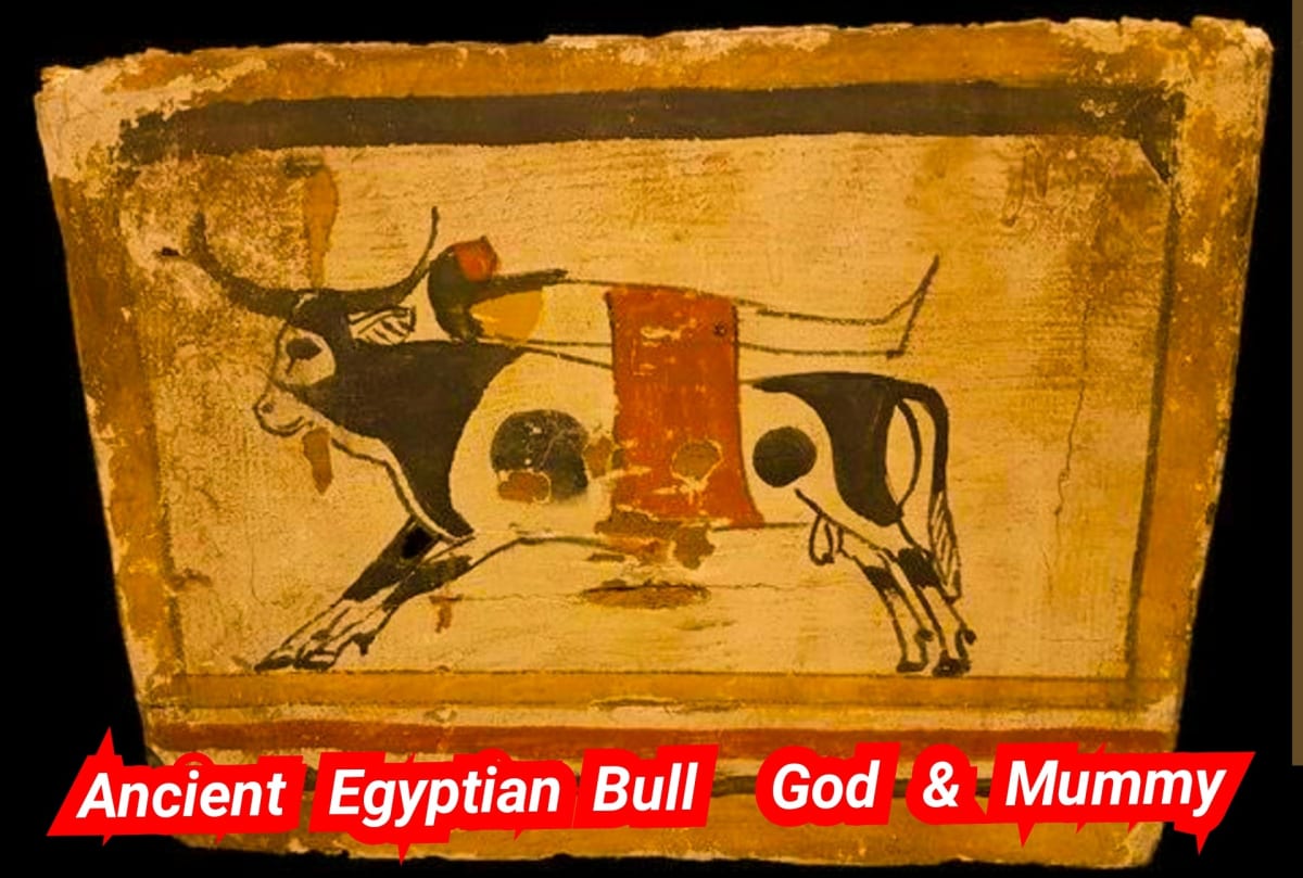 Kalai Madukal Ulakam Muzhuvathum Pallar Mallar Theyvamaka Vazhipattanar Bull God Pallar Mallar World | காளை மாடுகள் உலகம் முழுவதும் பள்ளர் மள்ளர் தெய்வமாக வழிபட்டனர் Bull God Pallar Mallar World