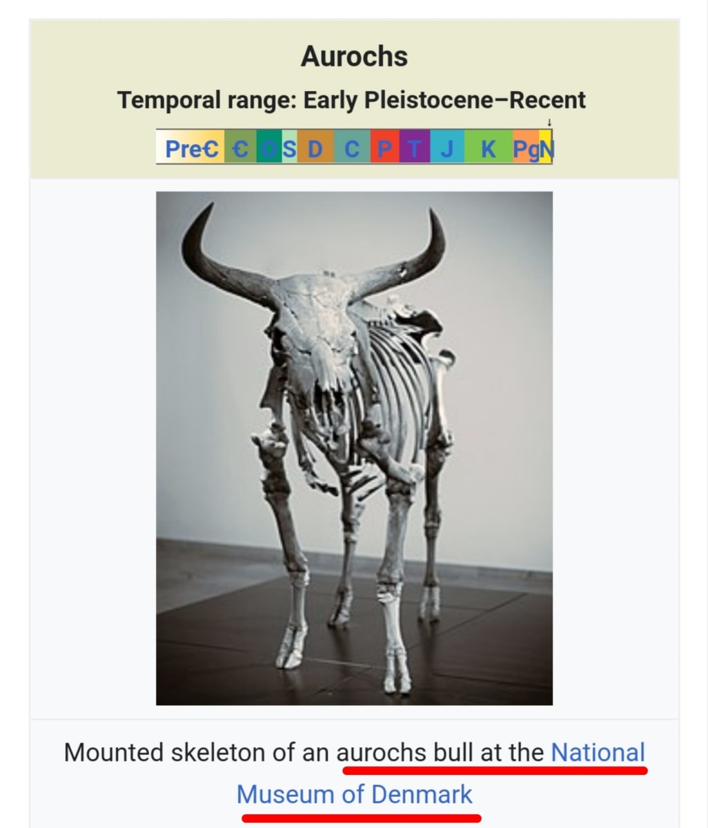 Kalai Madukal Ulakam Muzhuvathum Pallar Mallar Theyvamaka Vazhipattanar Bull God Pallar Mallar World | காளை மாடுகள் உலகம் முழுவதும் பள்ளர் மள்ளர் தெய்வமாக வழிபட்டனர் Bull God Pallar Mallar World