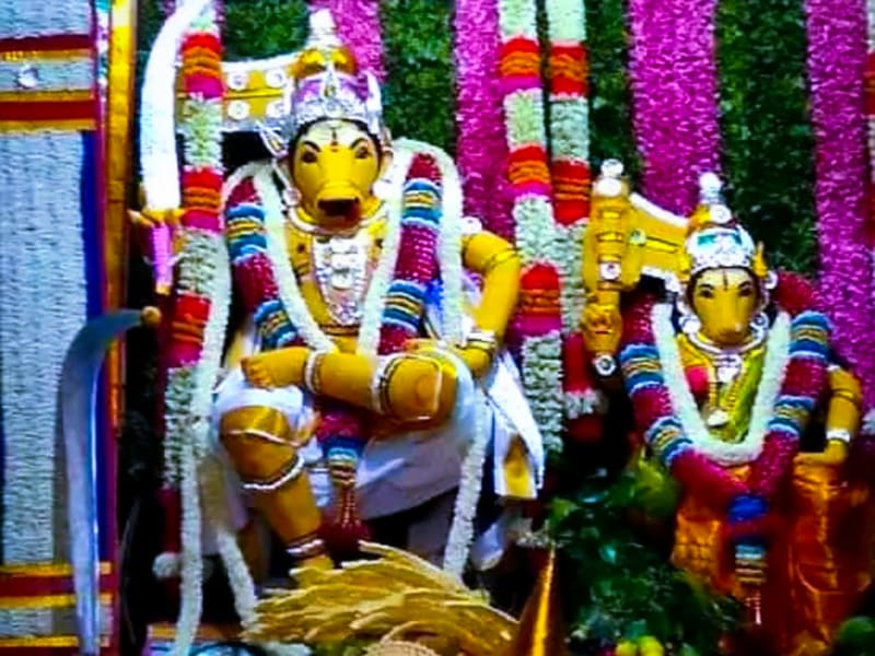 Kalamadan Thalavay Madan Sudalai Madan Theyvam Pallar Mallar | காளமாடன் தளவாய் மாடன் சுடலை மாடன் தெய்வம் பள்ளர் மள்ளர்