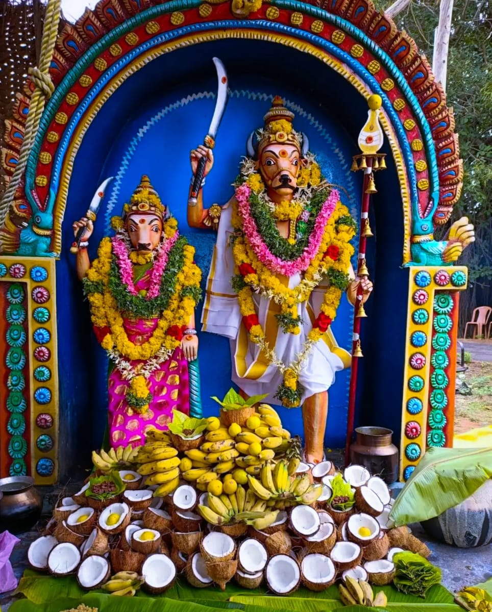 Kalamadan Thalavay Madan Sudalai Madan Theyvam Pallar Mallar | காளமாடன் தளவாய் மாடன் சுடலை மாடன் தெய்வம் பள்ளர் மள்ளர்