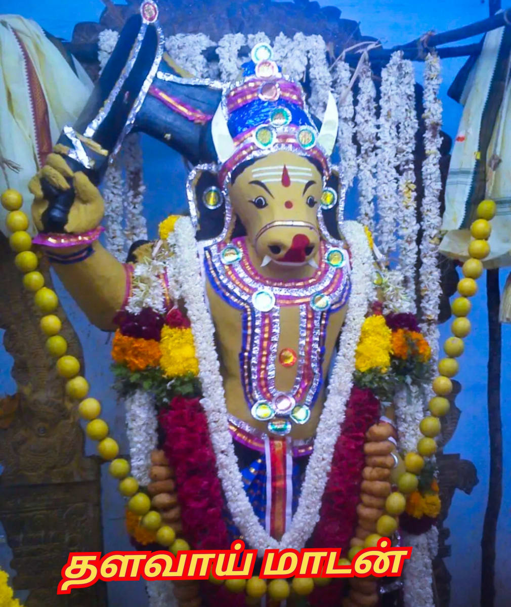 Kalamadan Thalavay Madan Sudalai Madan Theyvam Pallar Mallar | காளமாடன் தளவாய் மாடன் சுடலை மாடன் தெய்வம் பள்ளர் மள்ளர்