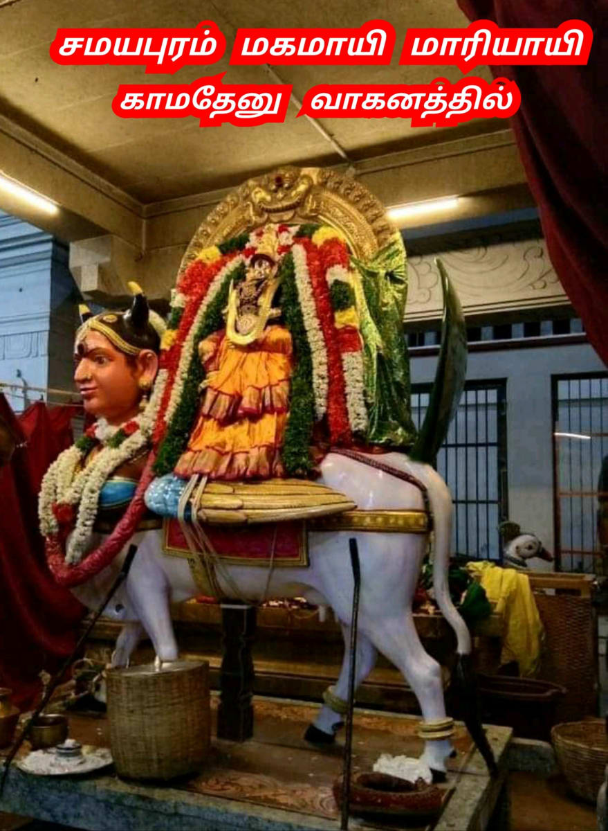Mari Mariyamman Mariyayi Pallar Mallar Mari God People World | மாரி மாரியம்மன் மாரியாயி பள்ளர் மள்ளர் Mari God People World