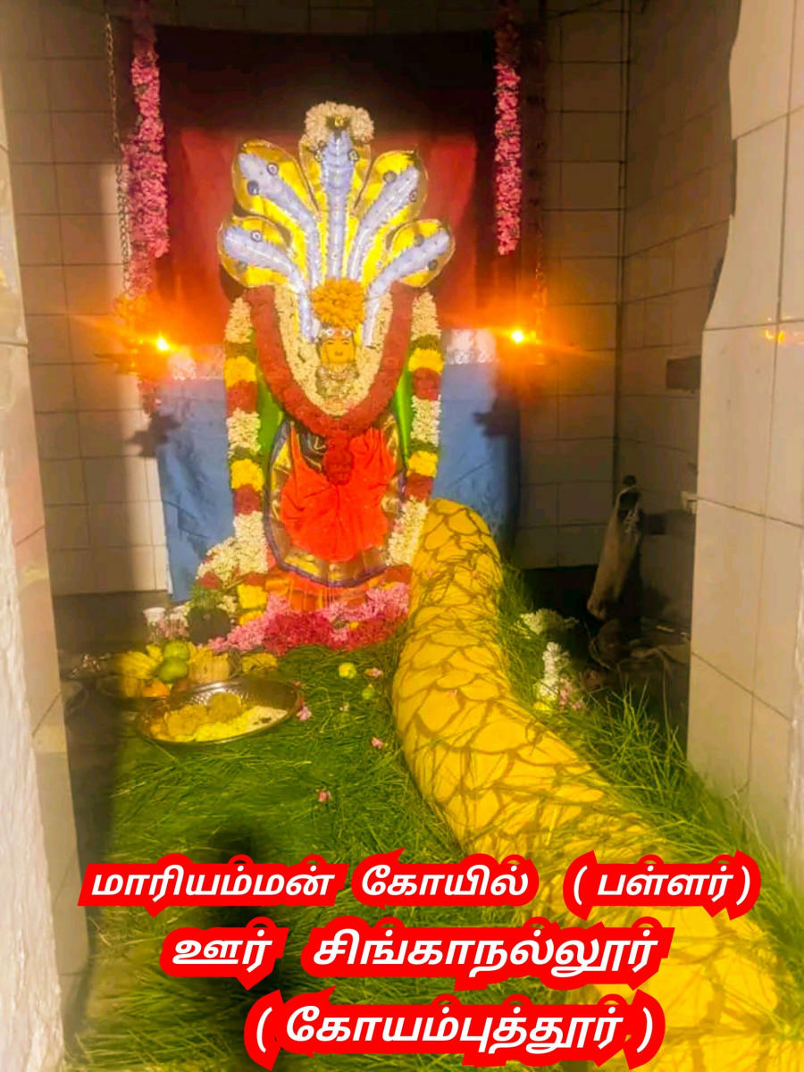 Mari Mariyamman Mariyayi Pallar Mallar Mari God People World | மாரி மாரியம்மன் மாரியாயி பள்ளர் மள்ளர் Mari God People World