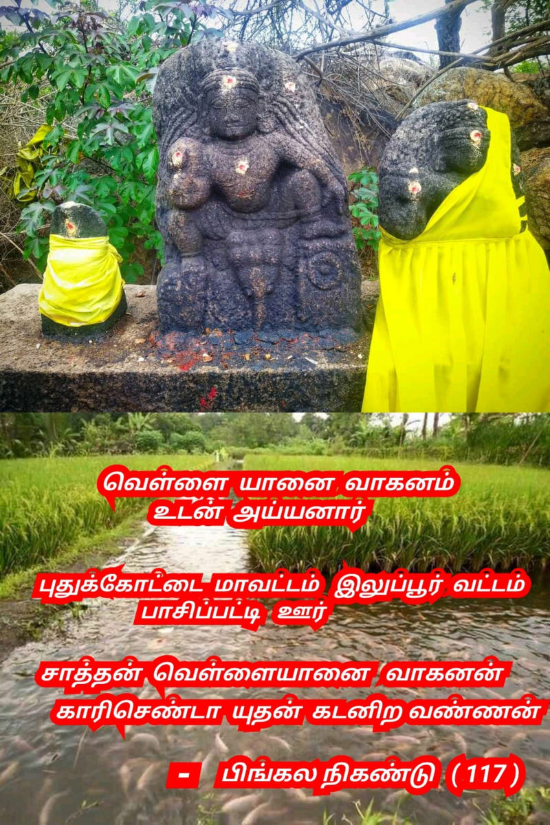 Ayyanar Sathan Kadavul Pallar Mallar Ayyanar God | அய்யனார் சாத்தன் கடவுள் பள்ளர் மள்ளர் Ayyanar God
