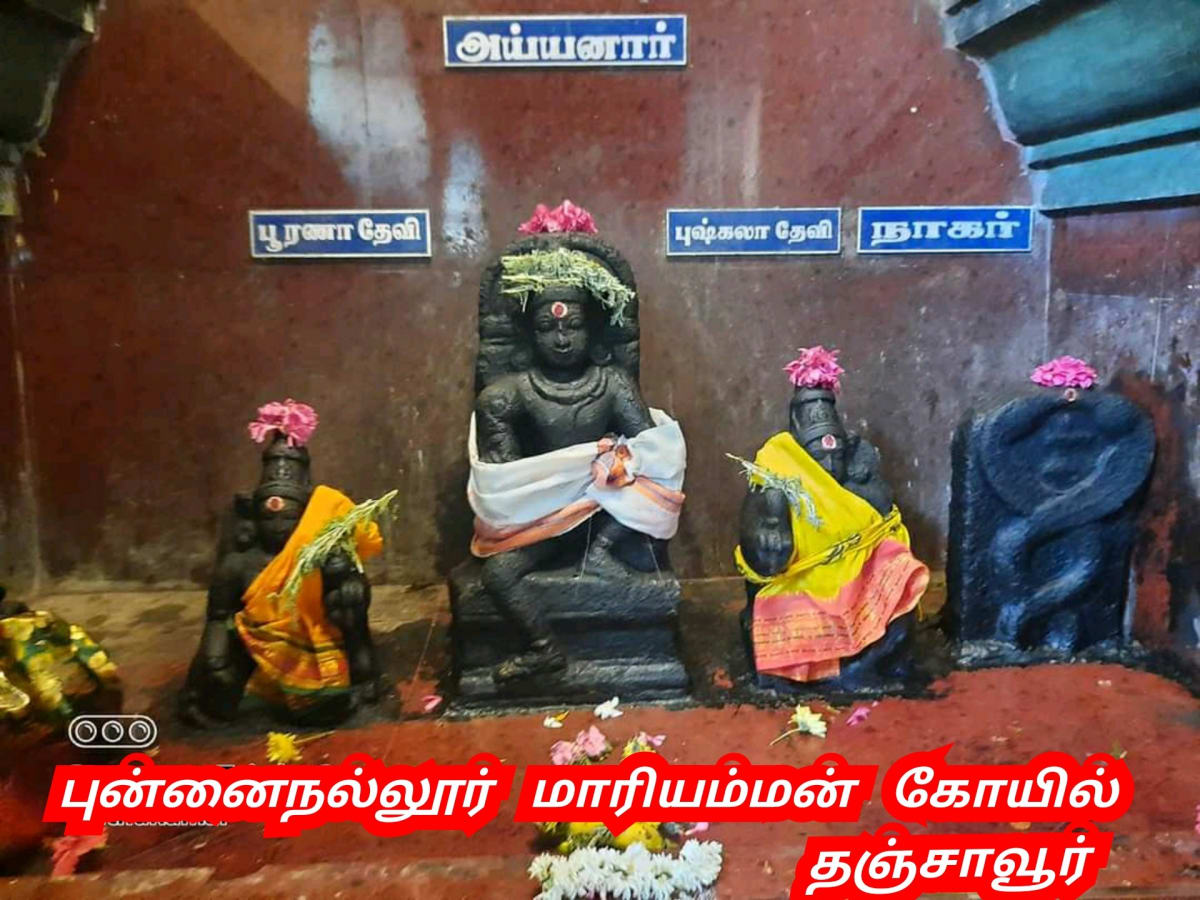 Ayyanar Sathan Kadavul Pallar Mallar Ayyanar God | அய்யனார் சாத்தன் கடவுள் பள்ளர் மள்ளர் Ayyanar God