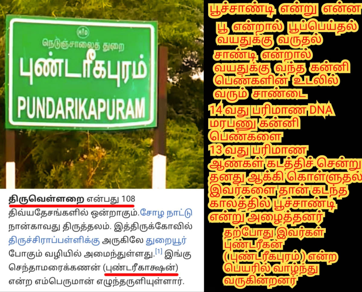 13 Vathu Parimanam Yoothar Ariyar Piramanar Panar Paraiyar Hasan Paniya Marvadi Pande Akarval Thivari Pandit Nayak Nayakkar Kallar Maravar Mutharaiyar Pillaimar Vellalar Menan | 13 வது பரிமாணம் யூதர் ஆரியர் பிராமணர் பாணர் பறையர் ஹாசன் பனியா மார்வாடி பாண்டே அகர்வால் திவாரி பண்டிட் நாயக் நாயக்கர் கள்ளர் மறவர் முத்தரையர் பிள்ளைமார் வெள்ளாளர் மேனன்
