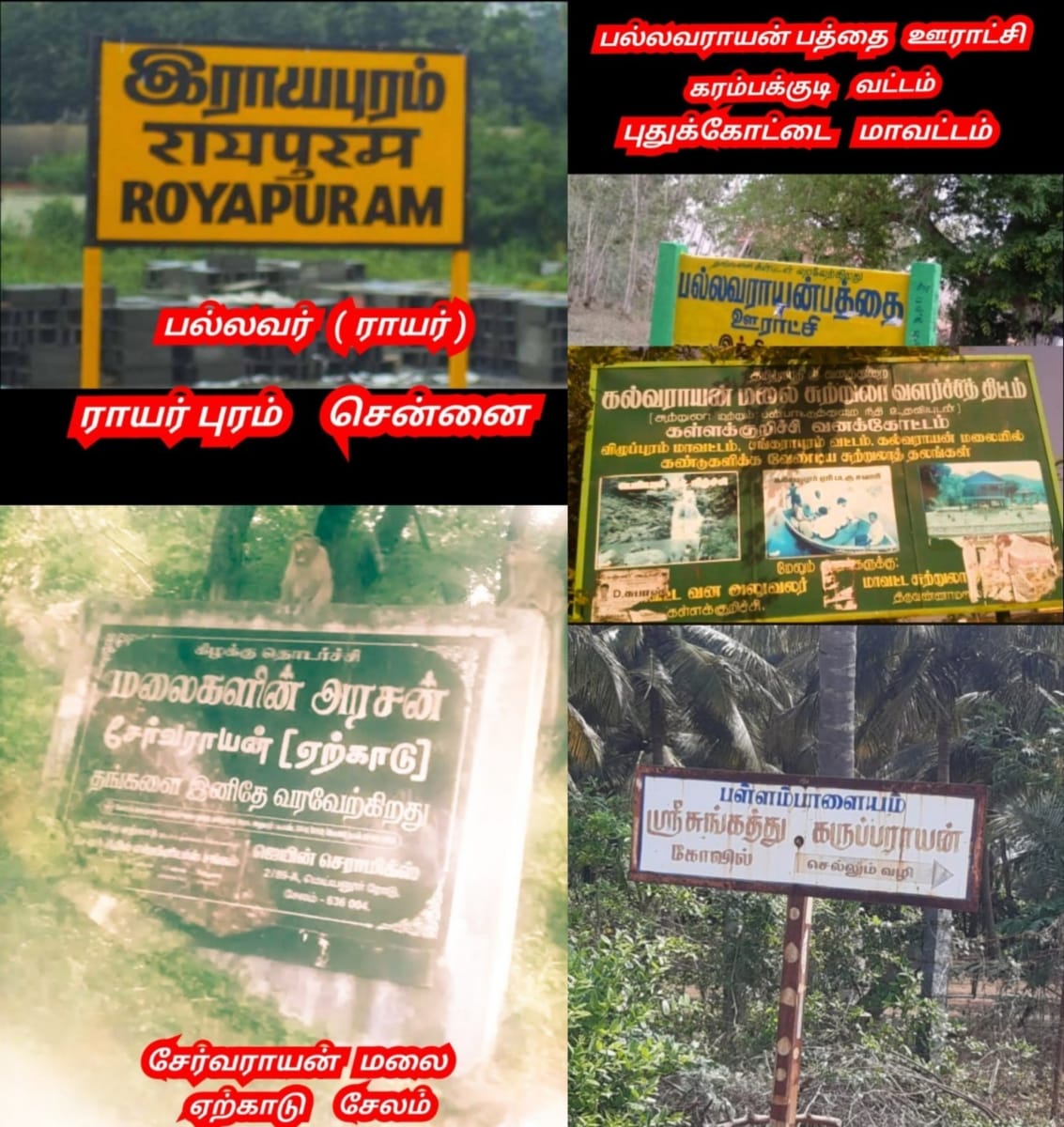 13 Vathu Parimanam Pallavar Rayar Rayan Vanniyar Sampuvarayar Kadavarayar Vanathirayar Kassirayar Pallavarayar | 13 வது பரிமாணம் பல்லவர் ராயர் ராயன் வன்னியர் சம்புவராயர் காடவராயர் வாணதிராயர் கச்சிராயர் பல்லவராயர்