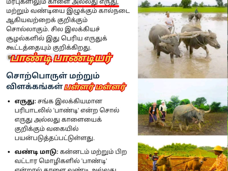 Erumai Madu Maruthanila Karupporul Mallar Pallar Sivan Korravai | எருமை மாடு மருதநில கருப்பொருள் மள்ளர் பள்ளர் சிவன் கொற்றவை