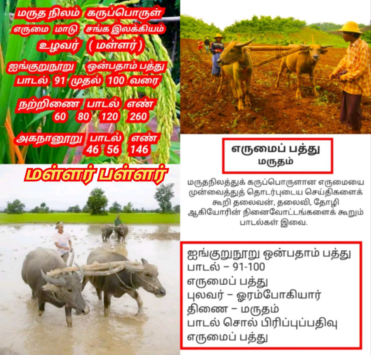 Erumai Madu Maruthanila Karupporul Mallar Pallar Sivan Korravai | எருமை மாடு மருதநில கருப்பொருள் மள்ளர் பள்ளர் சிவன் கொற்றவை