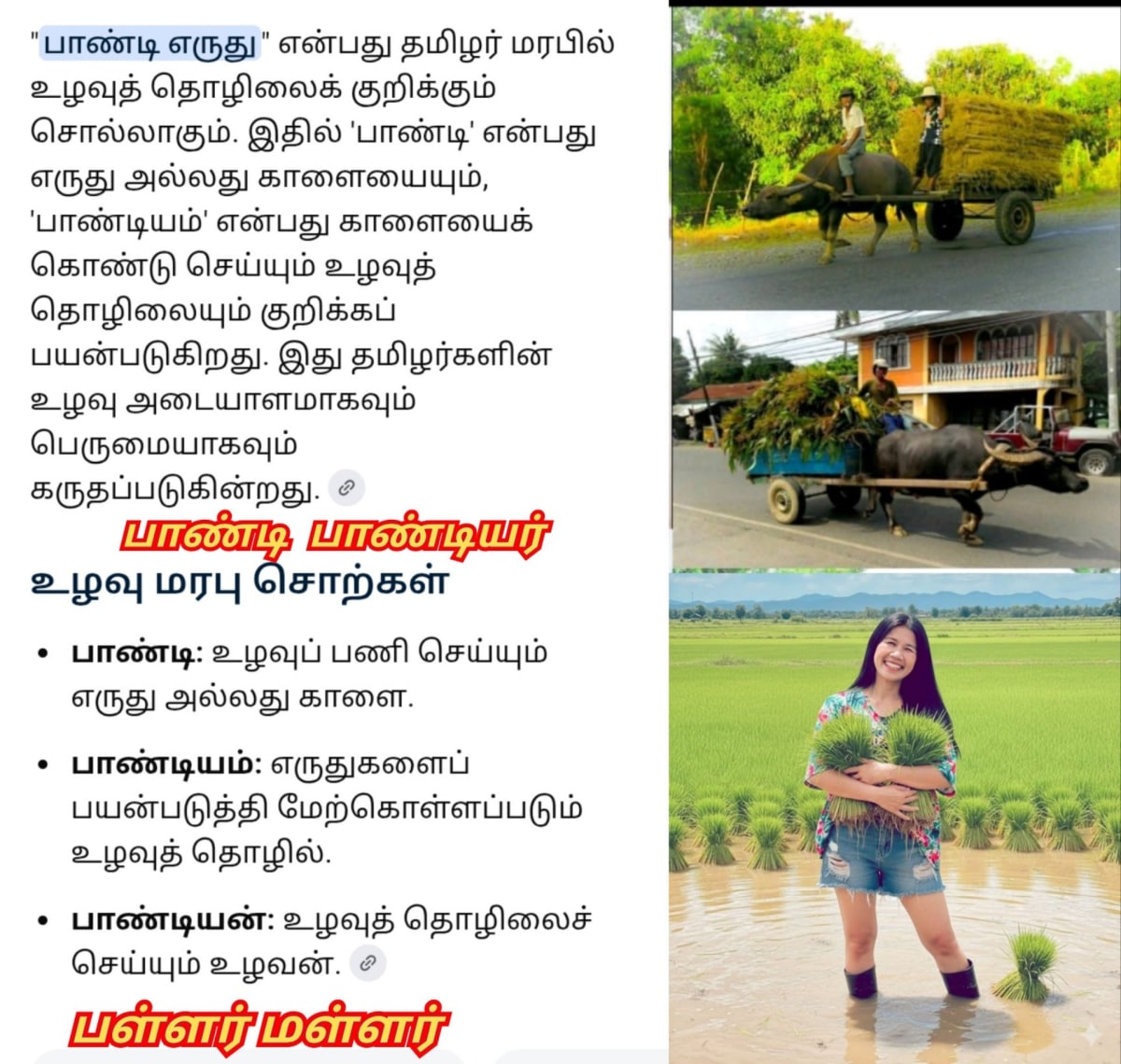 Erumai Madu Maruthanila Karupporul Mallar Pallar Sivan Korravai | எருமை மாடு மருதநில கருப்பொருள் மள்ளர் பள்ளர் சிவன் கொற்றவை