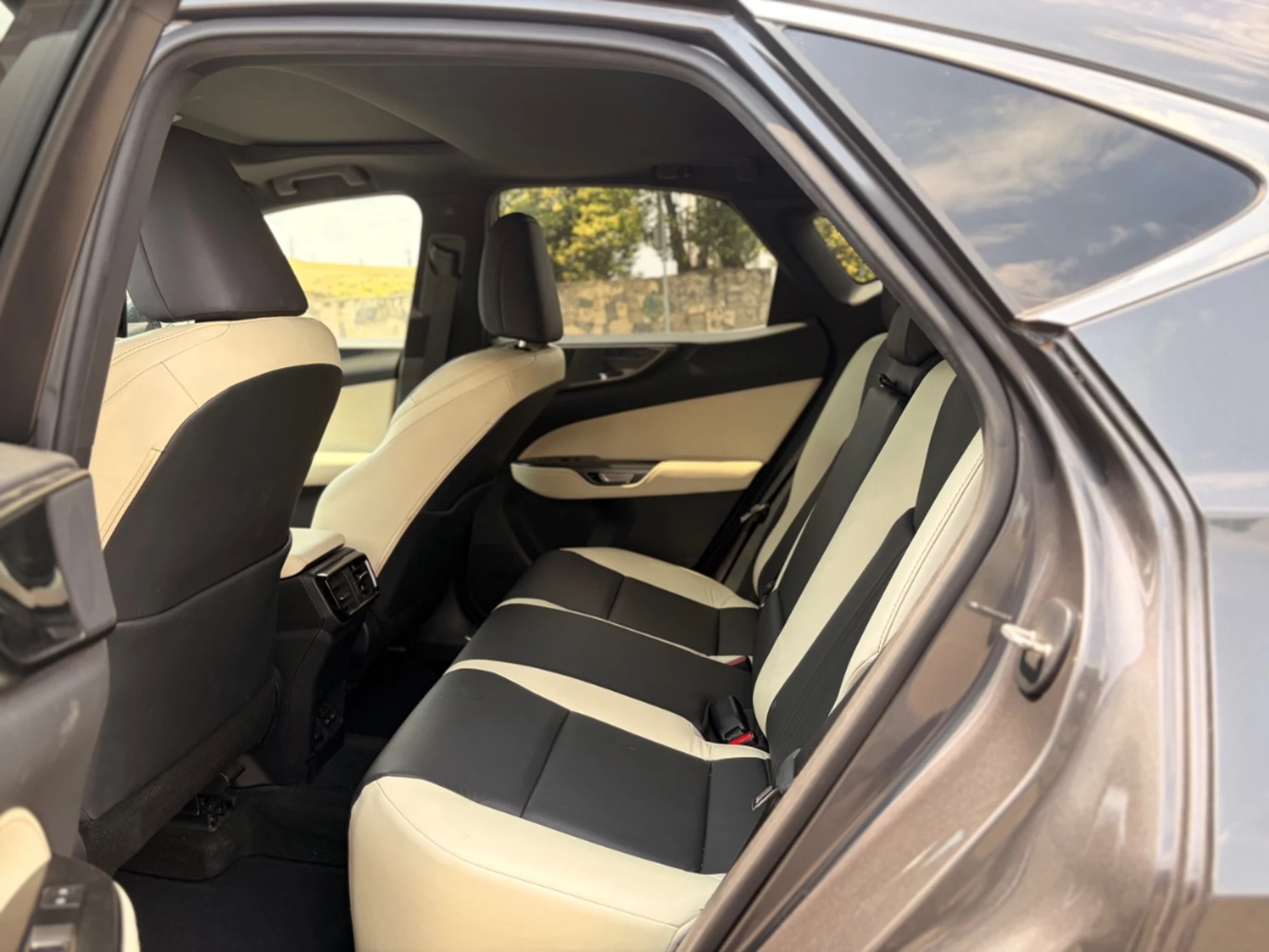 LEXUS NX 2023 — სურათი 11