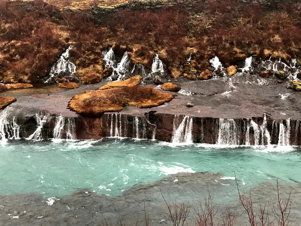 Hraunfossar waterfalls flowing from lava fields into turquoise water, with brown winter moss and rugged Iceland scenery in March