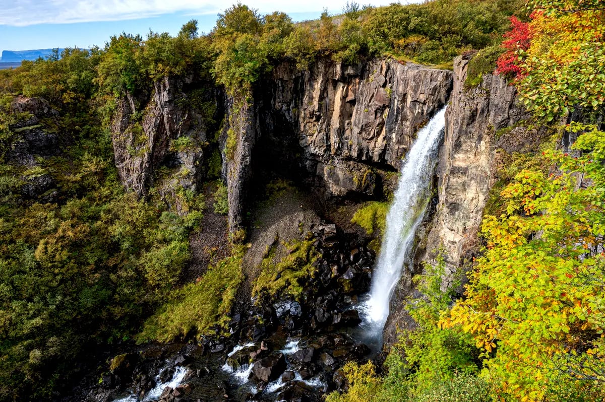 Svartifoss Waterfall plunges from rugged basalt cliffs into a rocky canyon, framed by vivid autumn foliage in Skaftafell, Iceland.
