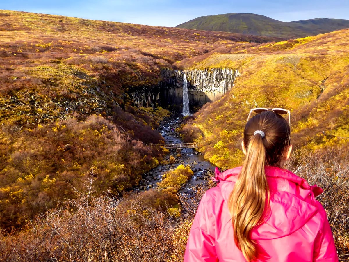 Woman in pink jacket overlooks Svartifoss Waterfall, basalt columns and golden autumn valley from a scenic trail in Skaftafell, Iceland.