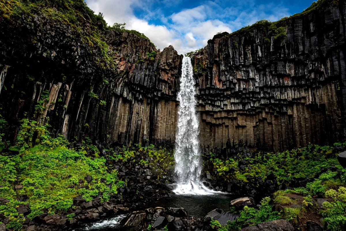 Svartifoss Waterfall drops into a rocky pool beneath dramatic black basalt columns, surrounded by lush green moss in Skaftafell, Iceland.