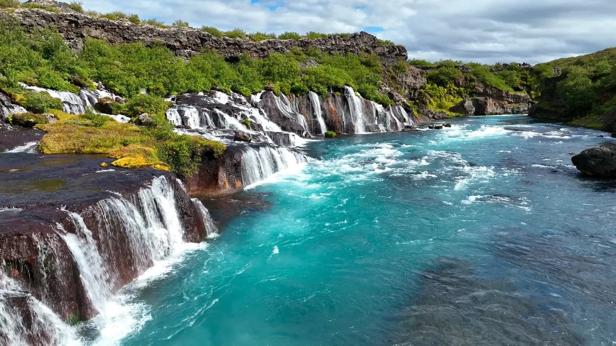 Hraunfossar Waterfall in Iceland spilling over black lava cliffs into turquoise Hvítá River, with green shrubs and cloudy summer sky
