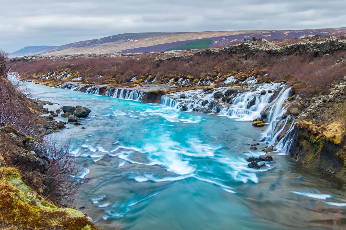 Hraunfossar Waterfall in Iceland cascading into a bright turquoise river, with black lava rocks, winter shrubs, distant hills and cloudy sky