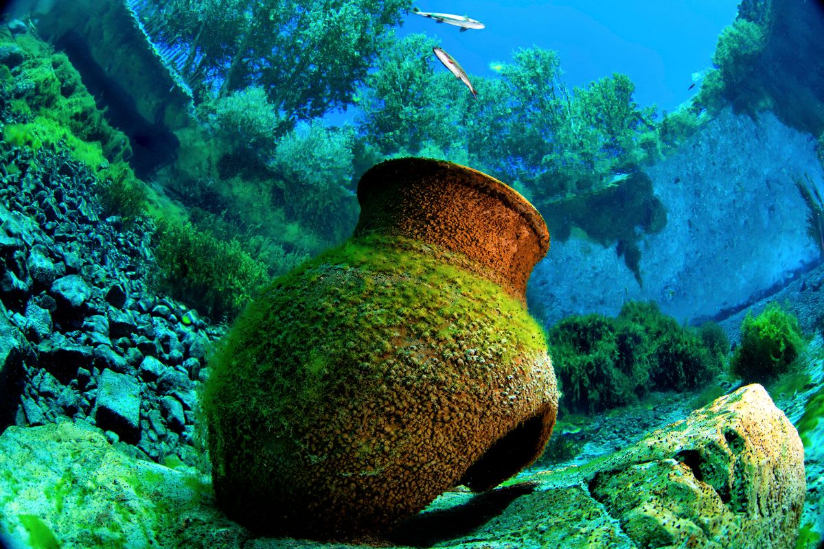 Underwater view of fish swimming over a moss-covered clay pot and rocky lakebed, highlighting aquatic habitats in an Iceland fishing guide